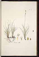  no thumbnail available