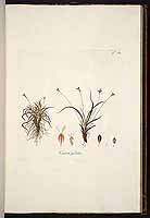  no thumbnail available