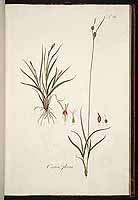  no thumbnail available