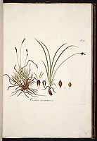  no thumbnail available