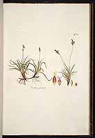  no thumbnail available