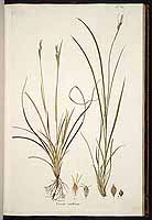  no thumbnail available