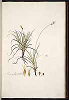  no thumbnail available