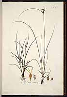  no thumbnail available