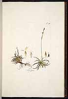  no thumbnail available