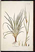  no thumbnail available