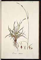  no thumbnail available