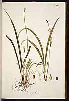  no thumbnail available