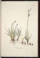  no thumbnail available