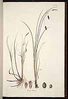  no thumbnail available