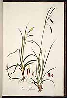  no thumbnail available