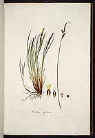  no thumbnail available