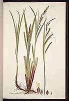  no thumbnail available