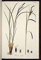  no thumbnail available