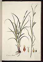  no thumbnail available