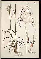  no thumbnail available