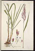  no thumbnail available