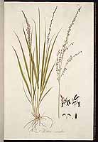  no thumbnail available