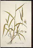  no thumbnail available