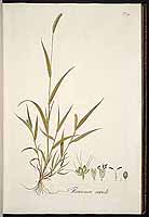  no thumbnail available