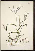  no thumbnail available