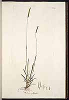  no thumbnail available