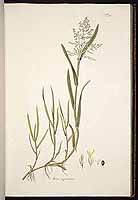  no thumbnail available