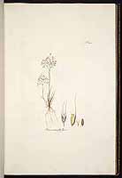  no thumbnail available