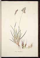  no thumbnail available