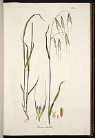  no thumbnail available