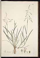  no thumbnail available