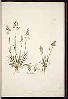  no thumbnail available