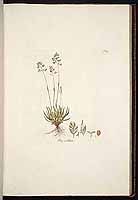  no thumbnail available