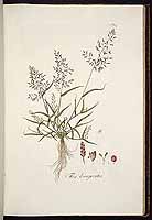  no thumbnail available