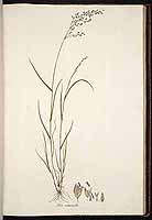  no thumbnail available