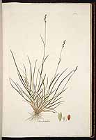  no thumbnail available