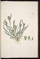  no thumbnail available