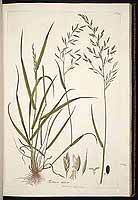  no thumbnail available