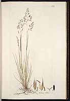  no thumbnail available