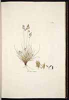  no thumbnail available