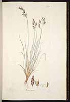  no thumbnail available