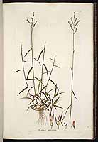  no thumbnail available