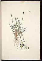  no thumbnail available