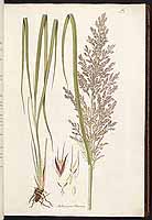  no thumbnail available