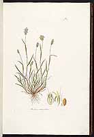  no thumbnail available