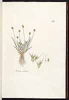  no thumbnail available