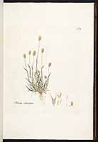  no thumbnail available