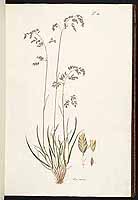  no thumbnail available