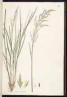  no thumbnail available