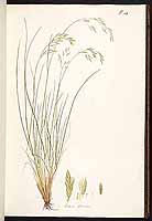  no thumbnail available